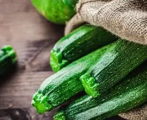 Zucchini